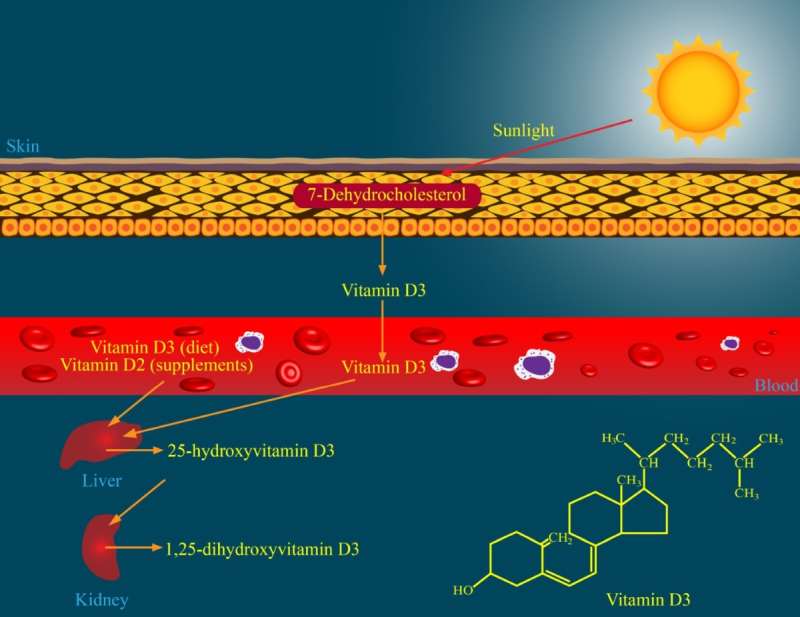 najboljši vitamin D