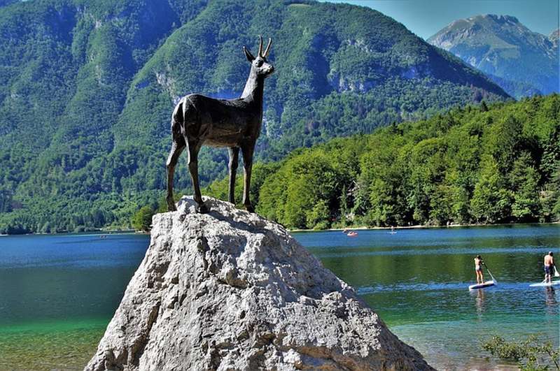 Apartmaji v Bohinju